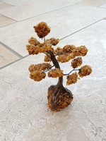 Baltic amber tree of life