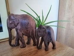 Egzotikus fából készült elefánt pár