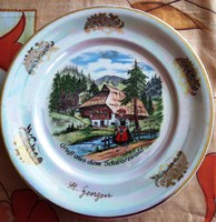 Porcelain plate for sale