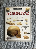 SZEMTANÚ sorozat: “A csontváz” nagy alakú képeskönyv