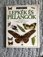 SZEMTANÚ sorozat: “Lepkék, pillangók” nagy alakú képeskönyv