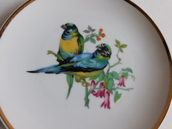 Ara papagájos porcelán tányér