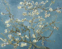 Vincent van Gogh - Mandulavirágzás - reprint