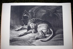 Sir Edwin Henry Landseer kutya kép acél metszet 19. század könyv tábla lap Sleeping Bloodhund
