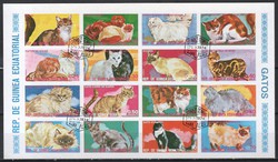 Egyenlitői Guinea 0214 Macskák