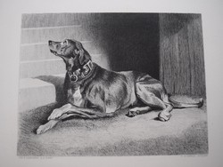 Sir Edwin Henry Landseer , kutya kép , acél metszet , 19. század könyv lap Wainting for the Countess