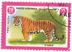 Afghanistan Commemorative Stamp 1984