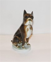Rég Zsolnay Bulldog porcelán kutya figura