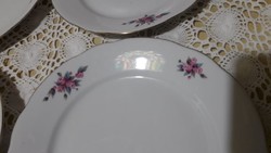 Colditz, a beautiful, floral, German porcelain cake on a small plate with a golden edge