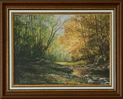 Erdő részlet – Természet ihlette harmónia