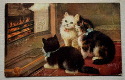 Antik Raphael Tuck festmény képeslap  cicák