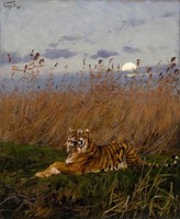 Gosha Vastagh - tiger in moonlight - reprint