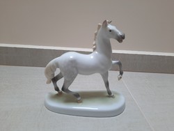 Herend porcelain horse, paripa, foal figurine