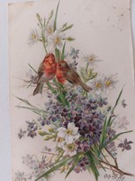 Régi képeslap 1899 levelezőlap madarak ibolya nárcisz
