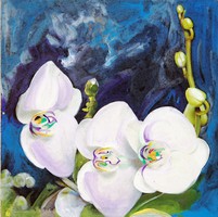 Mindszentiné Mandula: Orchidea
