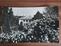 Régi képeslap, Balaton, Révfülöp, Ibolya cukrászda, 1969