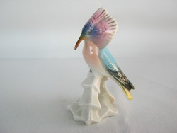 Ens volkstedt porcelain colorful exotic bird