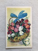 Régi Tulipán virágos képeslap