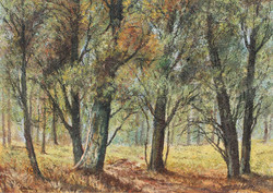 Boglár laszló: in the grove