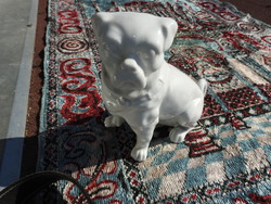Angol Bulldog antik porcelán figura