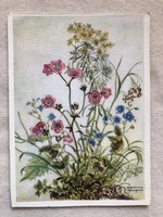Régi postatiszta Virágos képeslap  -  Marianne Schneegans festőművész - 1958