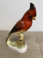 Bodrogkeresztúr ceramic parrot a7