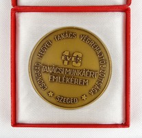 1H910 Csongrád County Council Executive Committee commemorative medal and badge