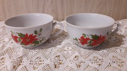 Porcelain tea cup with poinsettia from Zsolnay