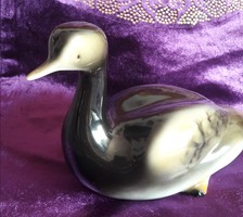 Hollóházi porcelán madár: szárcsa, kacsa (L2257)