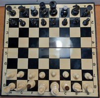 Retro magnetic chess (not mini) in its own case with wooden board