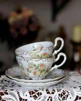 Carl Tielsch finomporcelán, gyönyörű szecessziós teás szettek, 1875-1900