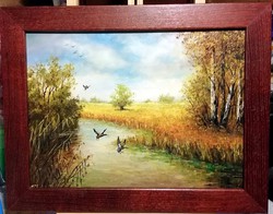 Károlyi katalin - wild ducks (40 x 30, oil, pickled in wooden frame)
