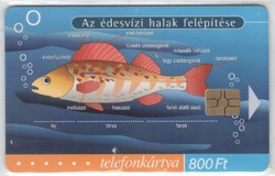Magyar telefonkártya 0575  2001 Puska Biológia  3    GEM 7     28.200 darab