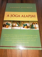 Book rarity! The basics of yoga - godfrey devereux 4000 ft