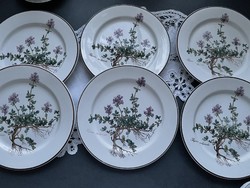 Villeroy & boch botanica cake plate