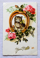 Régi üdvözlő litho képeslap  cica szerencsepatkó