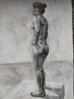 Portrait of female nude drawing (painting)