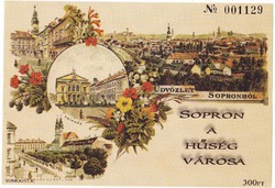 Hungary Sopron Memorial Card 2011