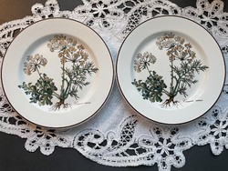 Villeroy and boch botanica cake plates in pairs