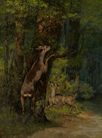Gustave Courbet - Szarvas az erdőben - reprint
