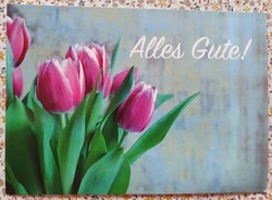 Jókívánság képeslap üdvözlőlap üdvözlőkártya levelezőlap postatiszta német tulipán mintával