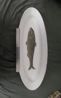 Rare hand painted fish porcelain bowl from 1844