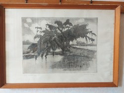 Francis Artner: old willow trees - etching