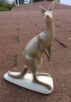 Ravenhouse kangaroo - rare!