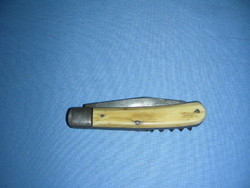 Bone-tipped knife