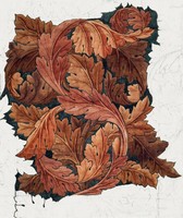 William morris - bear claw - scratch canvas reprint