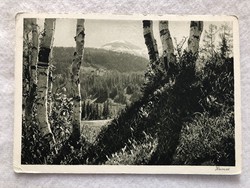 Antique Swiss postcard - Davos Glaris - 1940