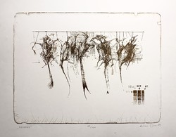Gábor Dienes (1948-2010) birds (1989) c. Lithography / 50x70 cm /