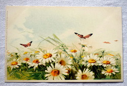 Antik Chatarina Klein üdvözlő lithográf képeslap margaréták pillangó