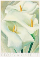 Modern art poster georgia o'keeffe kala lily 1924 white flower painting plant nature